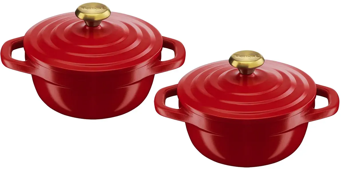 Tefal E254S255 rot Rot