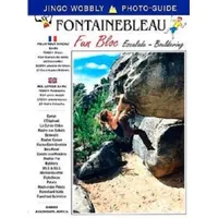 UK Books Fontainebleau Fun Bloc