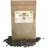 Gekeimte Kürbiskerne - bio & roh (1kg)