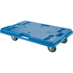 BS Rollen Transportroller D.75mm 150kg L600mm B400mm Thermoplastik - A.-Roller.950