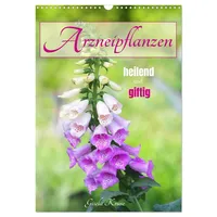 Calvendo Arzneipflanzen - heilend und giftig (Wandkalender 2026 DIN