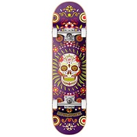 Hydroponic Centrano Unisex – Erwachsene Hydroponic Skateboard Komplettboard, Purple Skull, 8.125"