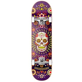 Hydroponic Centrano Unisex – Erwachsene Hydroponic Skateboard Komplettboard, Purple Skull, 8.125"