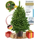 artitree Künstlicher Weihnachtsbaum Nordfichte im Topf (Höhe: 60 cm
