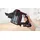 Bosch Unlimited Serie 6 BCS6111P
