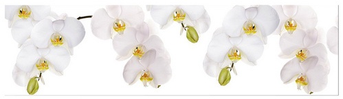 mySPOTTI Küchenrückwand »Orchidee weiß«, Aluverbund, Orchidee