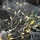 star trading deutschland gmbh LED-Lichterkette 16 m Transparent warmweiß