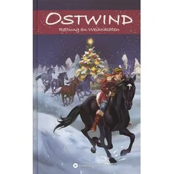 Rettung an Weihnachten - Ostwind (Bd. 4)