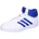 Cloud White / Team Royal Blue / Grey Two
