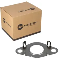 DR.MOTOR AUTOMOTIVE Dichtung, Leitung AGR-Ventil DRM02201