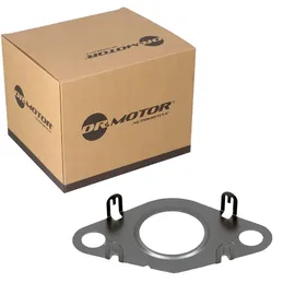DR.MOTOR AUTOMOTIVE Dichtung, Leitung AGR-Ventil DRM02201