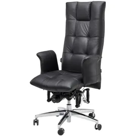 Haider Bioswing Bioswing 780 iQ Detensor Ergonomisch