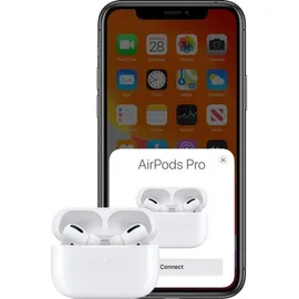 Apple AirPods Pro (1. Generation)