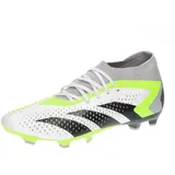 Adidas Predator Accuracy.2 Fg (GZ0028) white/grey