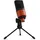 ESI cosMik 10 | Professionelles Studio-Kondensatormikrofon