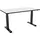 Celexon Höhenverstellbarer Schreibtisch Professional eAdjust-58123 125 x 75 cm