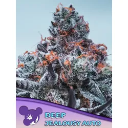 Anesia Deep Jealousy Auto Fem. 3St.