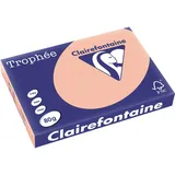 Clairefontaine Trophée A3 80g/m2 500 Blatt pfirsich