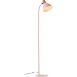 Brilliant Erena 94556/04 rosa