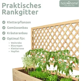 holz4home Pflanzkasten mit Rankgitter 128 x 104 x 44 cm Braun