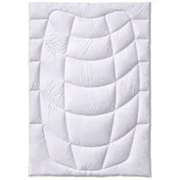 Kauffmann Kamelhaar Steppdecke 200x200 cm leicht - 200x200cm