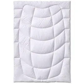 Kauffmann Kamelhaar Steppdecke 200x200 cm leicht - weiß ¦ Maße B: 200 H: 5