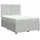 vidaXL Boxspringbett mit Matratze Hellgrau 160x200 cm Samt