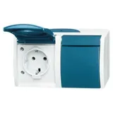 Busch-Jaeger 20/2 EW-53 2-fach