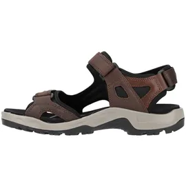 ECCO Offroad Herren espresso/cocoa 43