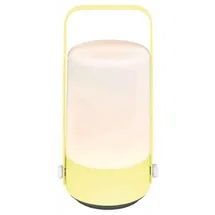 Moses Blatt & Blüte Gartenleuchte