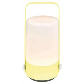 Moses Blatt & Blüte Gartenleuchte