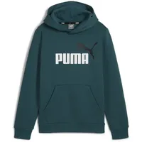 Puma Puma, ESS+ 2 Col Big Logo Hoodie FL B, Grün, 176