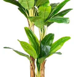 CREATIV green Künstliche Palme Bananenpflanze 240cm im Topf