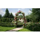 Rosenbogen Stahl Skiros - Material: Stahl (pulverbeschichtet) - Eigenschaften: mit Tor / Seitenteile und Tor mit Blumenverzierung