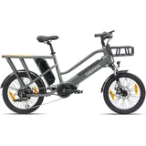 CHRISSON eCargo 20 E Bike Lastenrad 20 Zoll Damen oder Herren 155 - 190 cm Pedelec Lastenfahrrad 8 Gänge