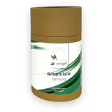 Artemisia annua Kapseln (300 Stück) in ökol. Verpackung - Vital Engel