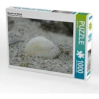 Calvendo Muschel am Strand Puzzle