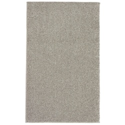 Astra Teppich »Samoa«, BxL: 80 x 150 cm, rechteckig, Polypropylen (PP) - silberfarben