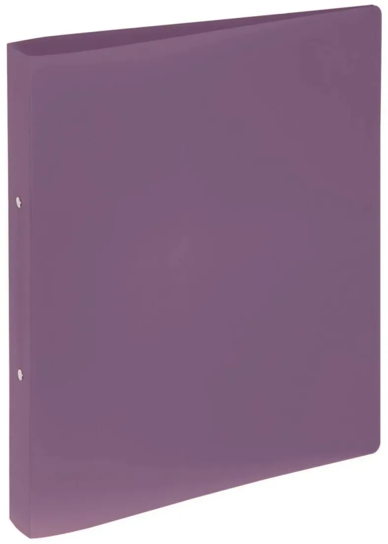 Pagna 20900-12 Ringmappe A4 Violett