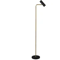 MeineWunschleuchte - led Stehlampe in Messing & Schwarz matt,