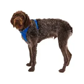 Ruffwear Front Range Hundegeschirr blue pool S