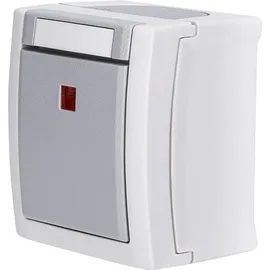 Panasonic Ausschalter Kontroll-/Ausschalter 90591023-DE Grau