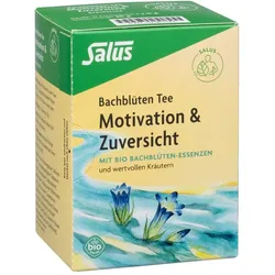 Bachblüten Tee Motivation & Zuversicht bio Salus