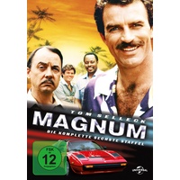 Universal Pictures Magnum - Staffel 6 (DVD) (Release 01.03.2012)