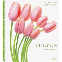 Tulpen