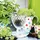 Villeroy & Boch Boston Rotweinglas 0,2 l 4er Set