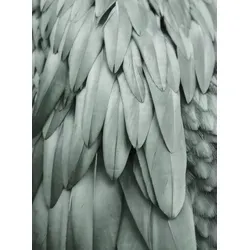 Fototapete LIVING WALLS "ARTist Feathers", grün, B:2m L:2,7m, Vlies, Tapeten, Vlies, Wand, Schräge