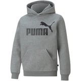 Puma 586965_03_7-8Y Sportpullover/-Hoodie