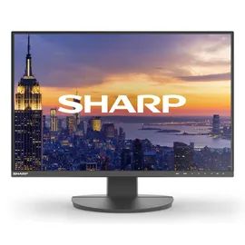 Sharp MultiSync EA242W 24"