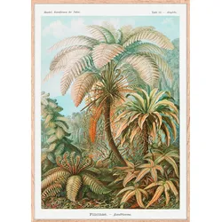 Bild Image ca. 50x70cm